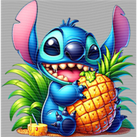 Stitch-SH  448